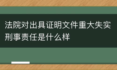 法院对出具证明文件重大失实刑事责任是什么样