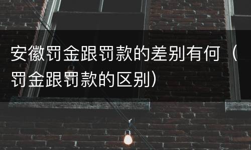 安徽罚金跟罚款的差别有何（罚金跟罚款的区别）