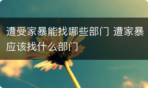 遭受家暴能找哪些部门 遭家暴应该找什么部门