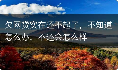 欠网贷实在还不起了，不知道怎么办，不还会怎么样