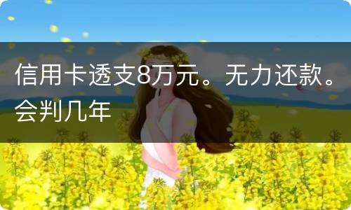 信用卡透支8万元。无力还款。会判几年