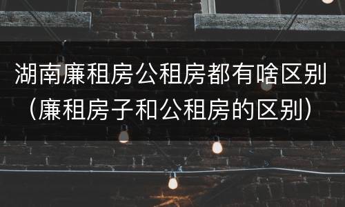 湖南廉租房公租房都有啥区别（廉租房子和公租房的区别）