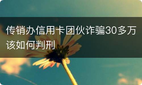 传销办信用卡团伙诈骗30多万该如何判刑
