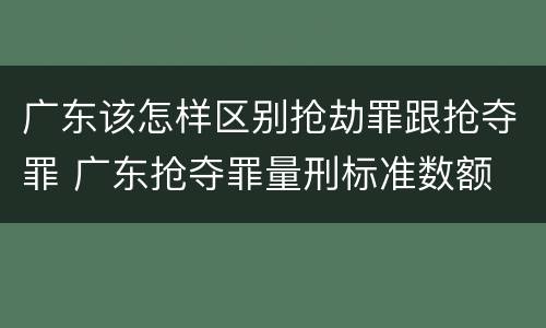 广东该怎样区别抢劫罪跟抢夺罪 广东抢夺罪量刑标准数额