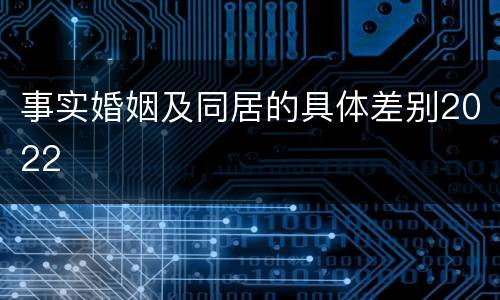 事实婚姻及同居的具体差别2022