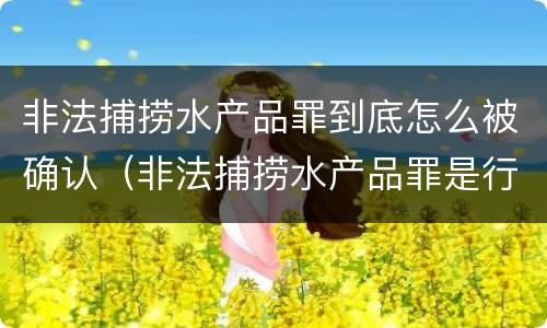 非法捕捞水产品罪到底怎么被确认（非法捕捞水产品罪是行为犯吗）