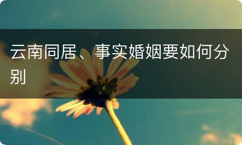 云南同居、事实婚姻要如何分别