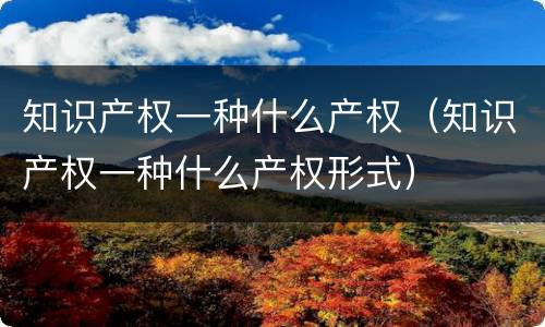 知识产权一种什么产权（知识产权一种什么产权形式）