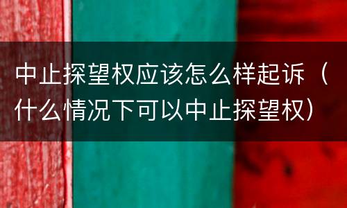中止探望权应该怎么样起诉（什么情况下可以中止探望权）