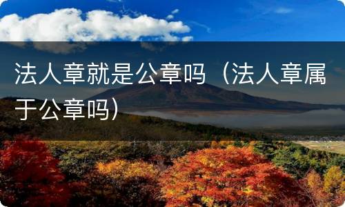 法人章就是公章吗（法人章属于公章吗）