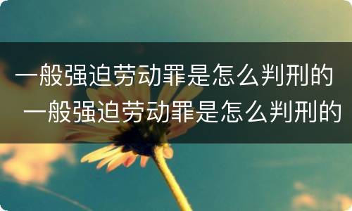 一般强迫劳动罪是怎么判刑的 一般强迫劳动罪是怎么判刑的呀