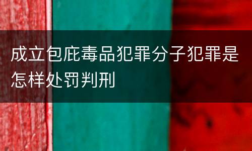 成立包庇毒品犯罪分子犯罪是怎样处罚判刑