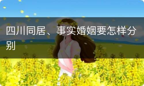 四川同居、事实婚姻要怎样分别