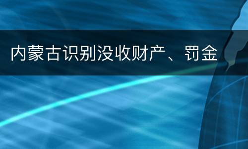 内蒙古识别没收财产、罚金