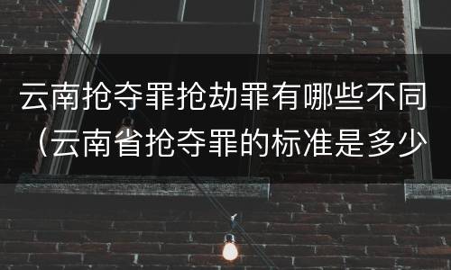 云南抢夺罪抢劫罪有哪些不同（云南省抢夺罪的标准是多少?）