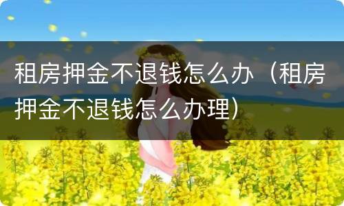 租房押金不退钱怎么办（租房押金不退钱怎么办理）