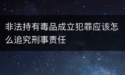 非法持有毒品成立犯罪应该怎么追究刑事责任