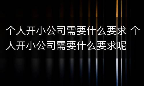 个人开小公司需要什么要求 个人开小公司需要什么要求呢