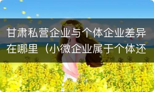甘肃私营企业与个体企业差异在哪里（小微企业属于个体还是私营）