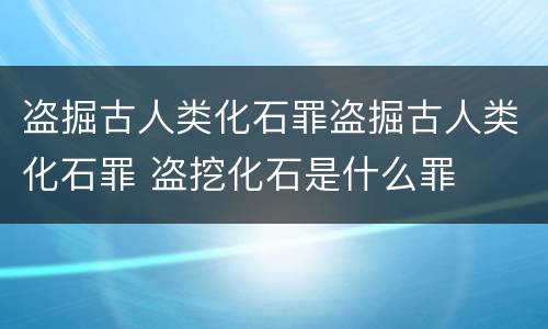 盗掘古人类化石罪盗掘古人类化石罪 盗挖化石是什么罪