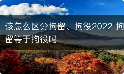 该怎么区分拘留、拘役2022 拘留等于拘役吗