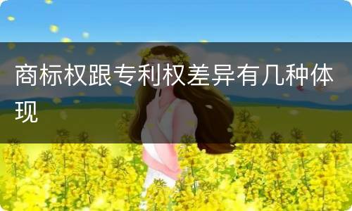 商标权跟专利权差异有几种体现