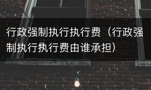 行政强制执行执行费（行政强制执行执行费由谁承担）