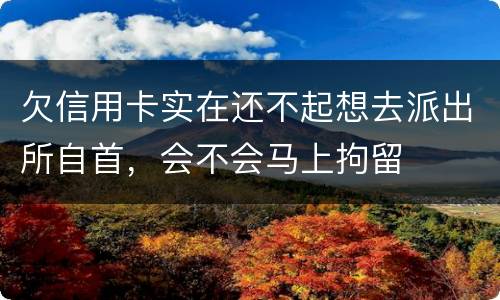 欠信用卡实在还不起想去派出所自首，会不会马上拘留