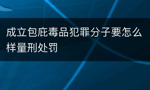 成立包庇毒品犯罪分子要怎么样量刑处罚