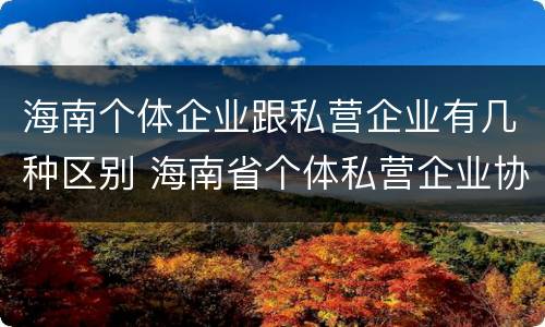 海南个体企业跟私营企业有几种区别 海南省个体私营企业协会