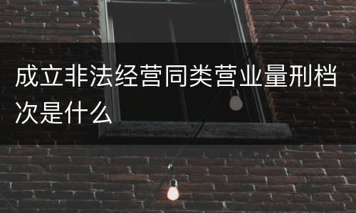成立非法经营同类营业量刑档次是什么