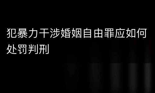 犯暴力干涉婚姻自由罪应如何处罚判刑
