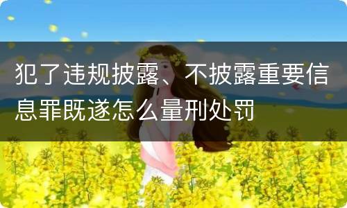 犯了违规披露、不披露重要信息罪既遂怎么量刑处罚