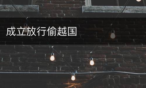成立放行偷越国