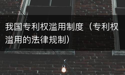 我国专利权滥用制度（专利权滥用的法律规制）