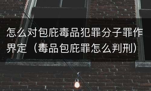 怎么对包庇毒品犯罪分子罪作界定（毒品包庇罪怎么判刑）