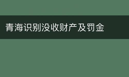 青海识别没收财产及罚金
