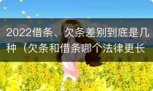 2022借条、欠条差别到底是几种（欠条和借条哪个法律更长）