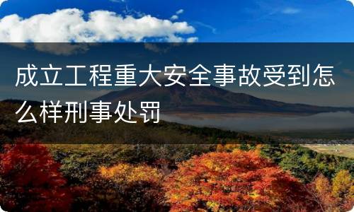 成立工程重大安全事故受到怎么样刑事处罚