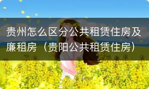 贵州怎么区分公共租赁住房及廉租房（贵阳公共租赁住房）