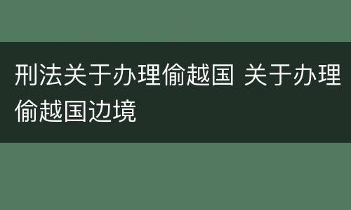 刑法关于办理偷越国 关于办理偷越国边境
