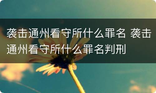 袭击通州看守所什么罪名 袭击通州看守所什么罪名判刑