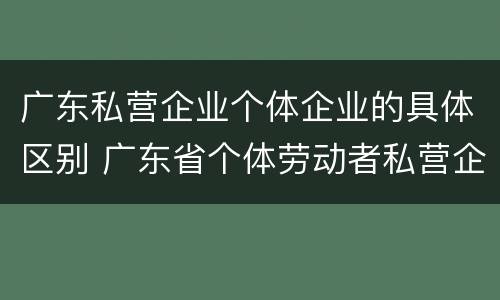 广东私营企业个体企业的具体区别 广东省个体劳动者私营企业协会