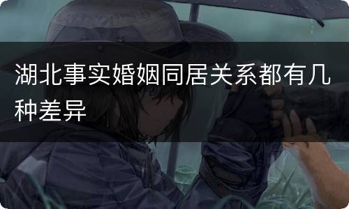 湖北事实婚姻同居关系都有几种差异