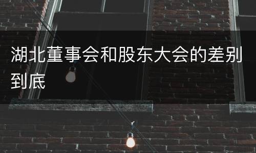 湖北董事会和股东大会的差别到底