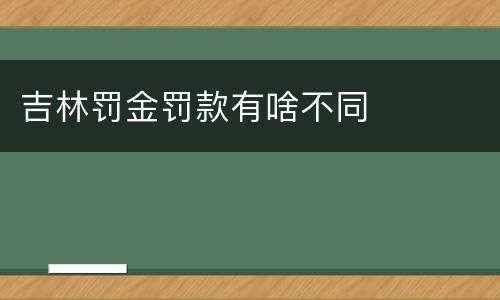 吉林罚金罚款有啥不同
