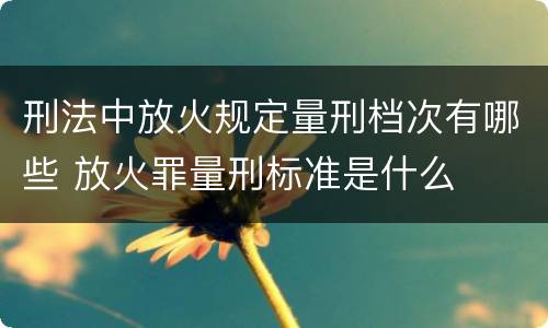 刑法中放火规定量刑档次有哪些 放火罪量刑标准是什么