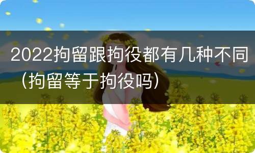 2022拘留跟拘役都有几种不同（拘留等于拘役吗）