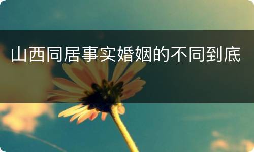 山西同居事实婚姻的不同到底