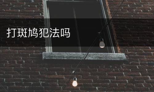 打斑鸠犯法吗